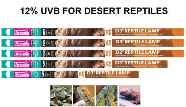 Лампа для терраруима Arcadia T8 D3+ 12% Desert Reptile Lamp