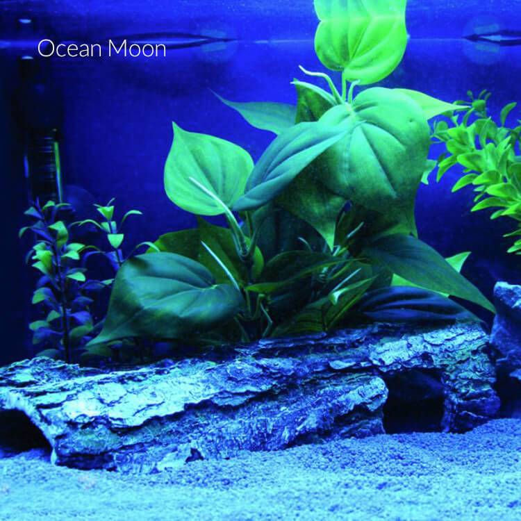 Люминесцентные лампы VS светодиодов для аквариума