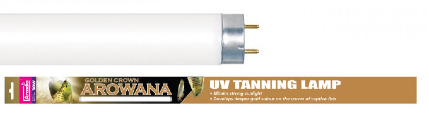 Лампа для аквариума с араванами Arcadia Golden Arowana Lamp T8 Arcadia
