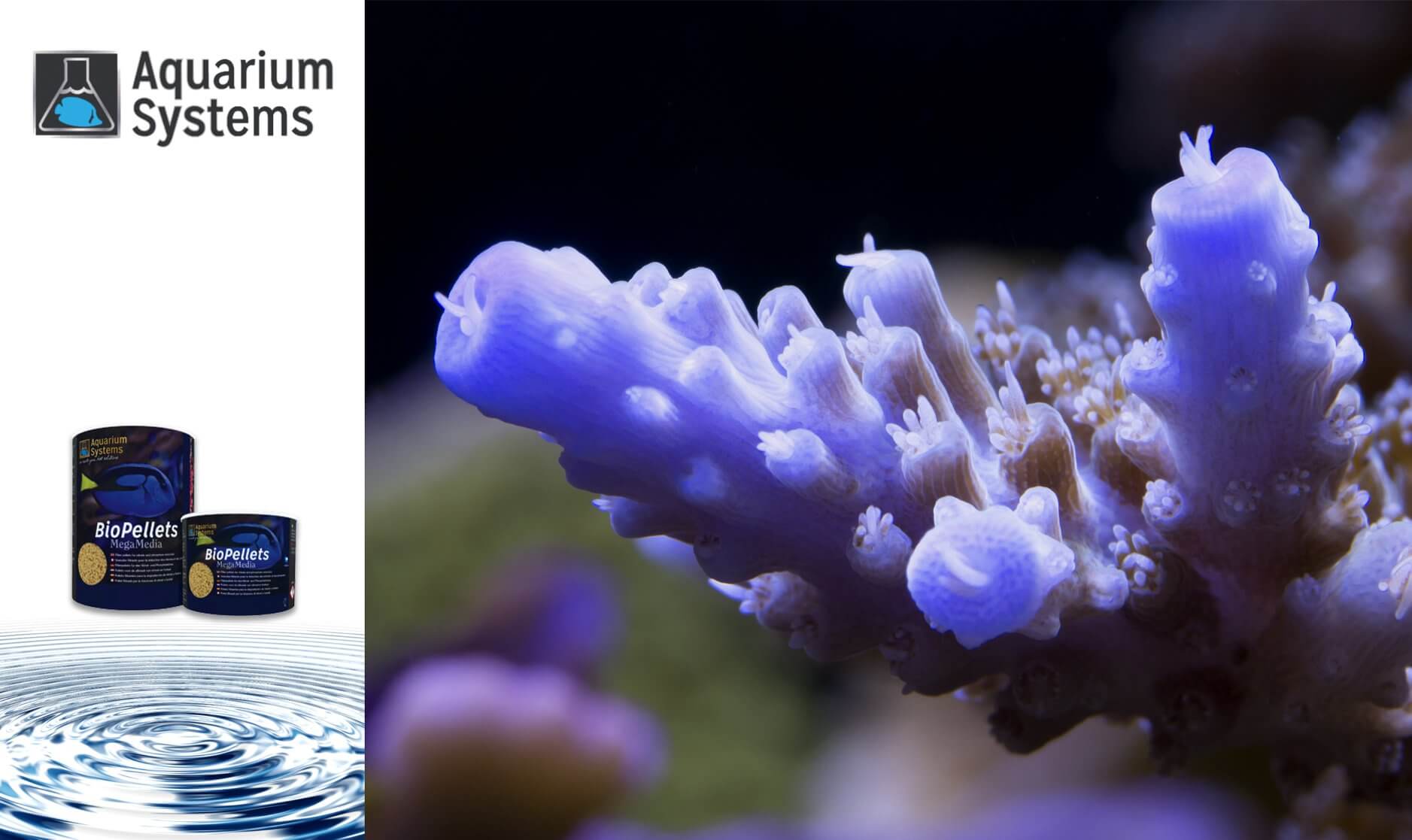 биопелетсы для аквариума Aquarium Systems купить