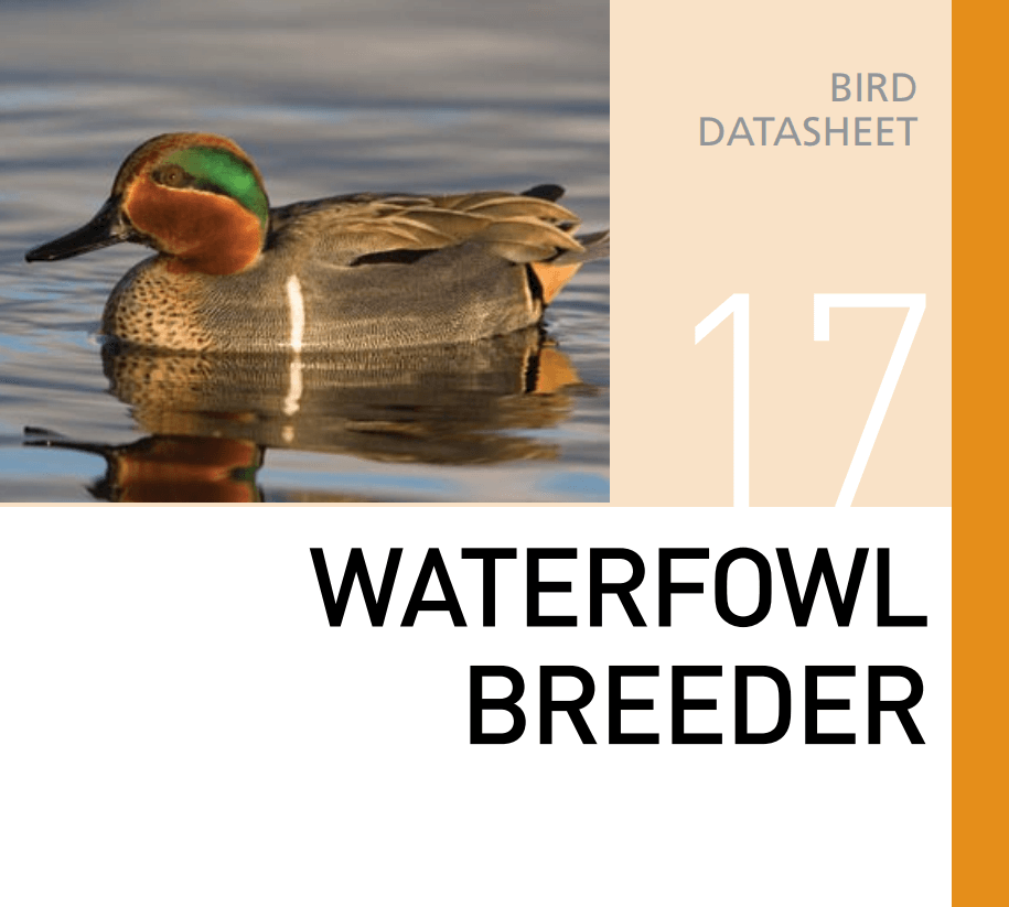 Корм для разведения уток и водоплавающей птицы Waterfowl Breeder