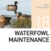 Корм для содержания уток и водоплавающей птицы Waterfowl Maintenance Mazuri Zoo Foods