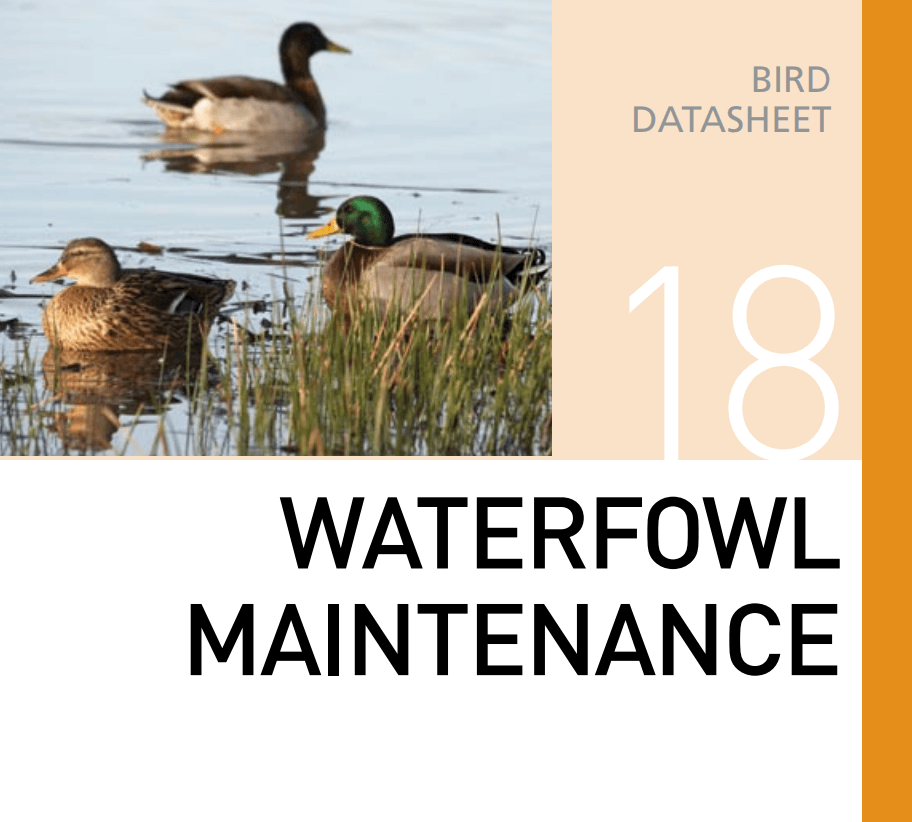 Корм для содержания уток и водоплавающей птицы Waterfowl Maintenance