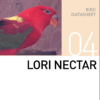 Корм для попугая Лори Lori Nectar Mazuri Zoo Foods