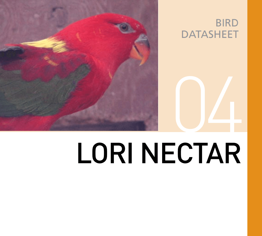 Корм для попугая Лори Lori Nectar