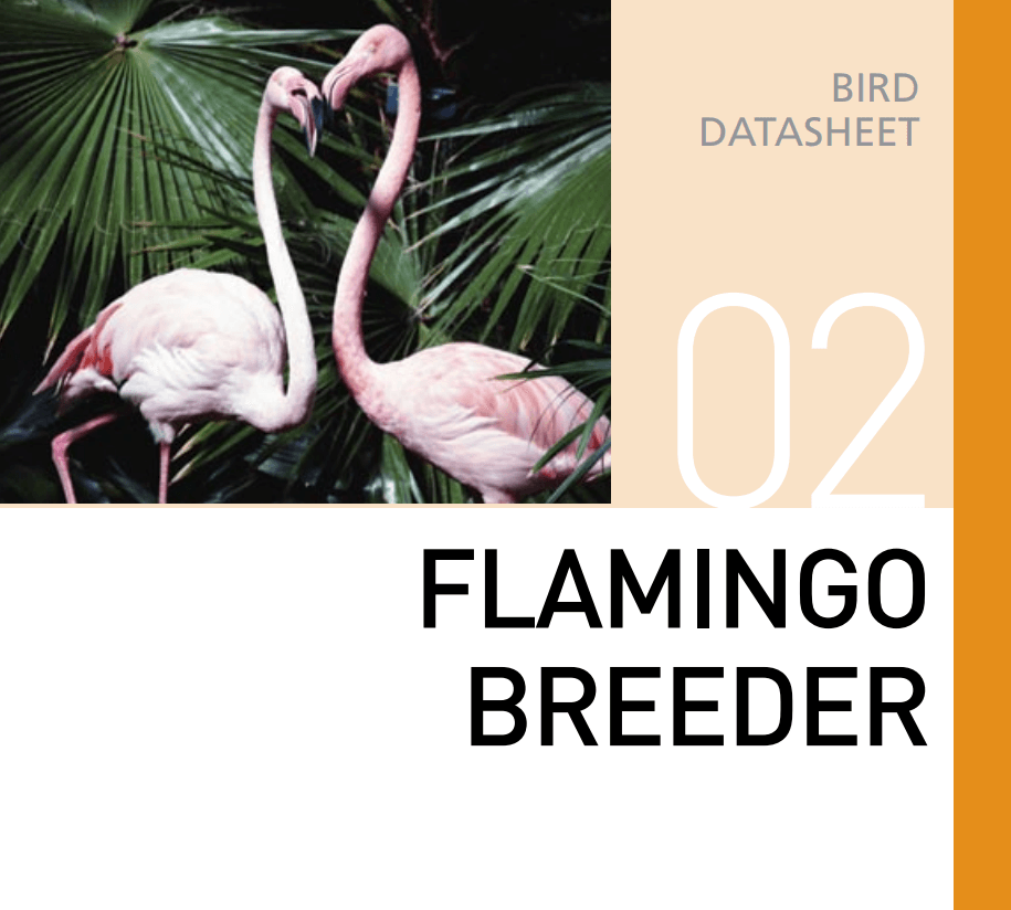 Корм для разведения фламинго Flamingo Breeder
