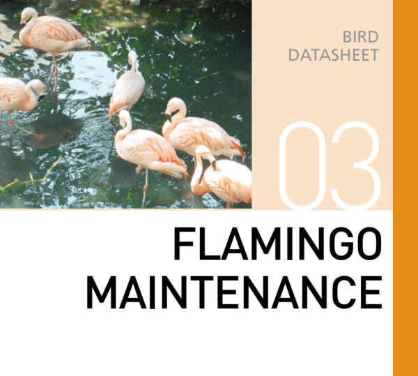 Корм для содержания фламинго Flamingo Maintenance Mazuri Zoo Foods