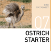 Стартовый корм для страусов Ostrich Starter Mazuri Zoo Foods