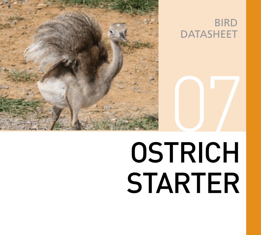 Стартовый корм для страусов Ostrich Starter