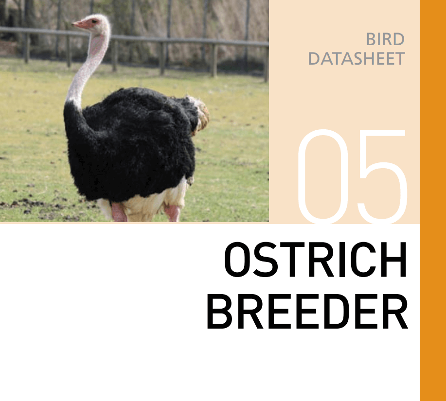 Корм для разведения страусов Ostrich Breeder