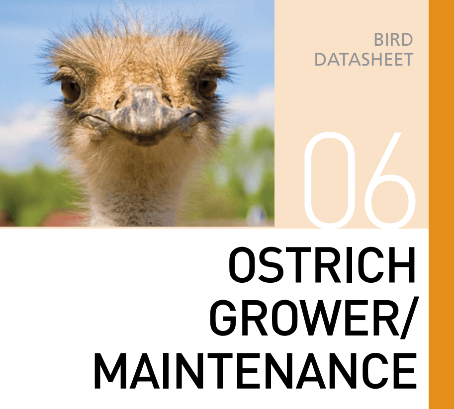Корм для содержания страусов  Ostrich Grower / Maintenance