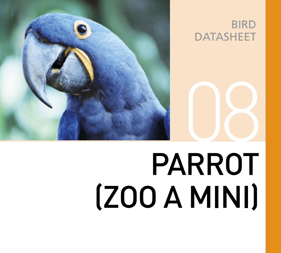 Корм для попугаев Parrot (Zoo A Mini)