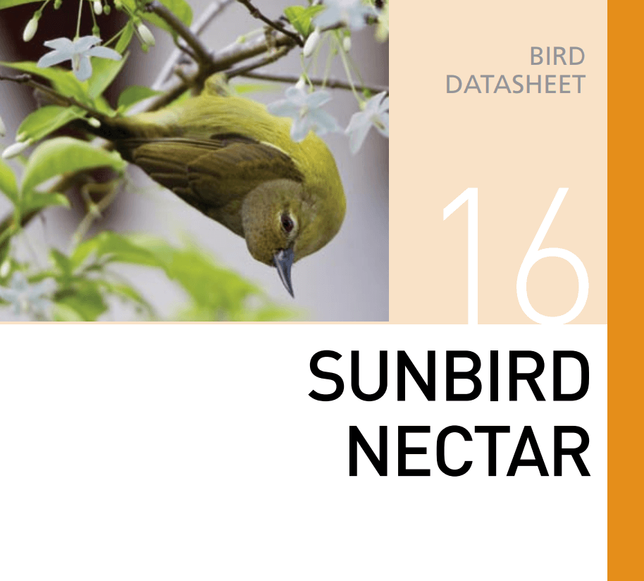 Корм для колибри и нектарниц Sunbird Nectar