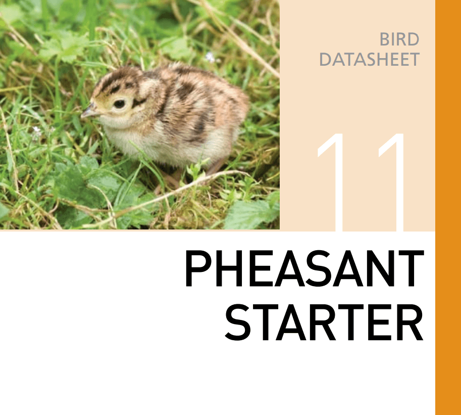 Стартовый корм для фазанов Pheasant Starter