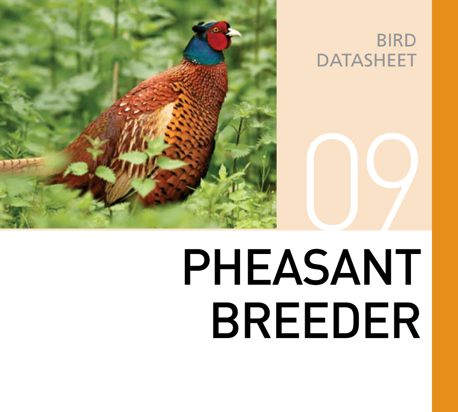 Корм для разведения фазанов Pheasant Breeder