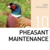 Корм для содержания фазанов Pheasant Maintenance Mazuri Zoo Foods