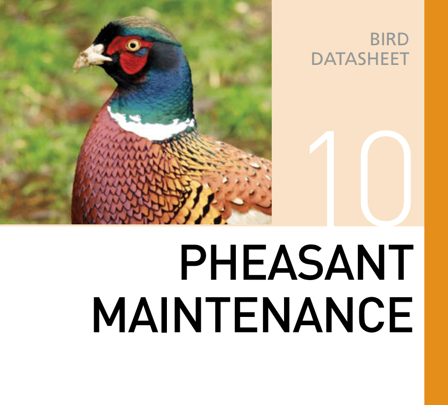 Корм для содержания фазанов Pheasant Maintenance