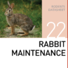 Корм для содержания кроликов Rabbit Maintenance Mazuri Zoo Foods