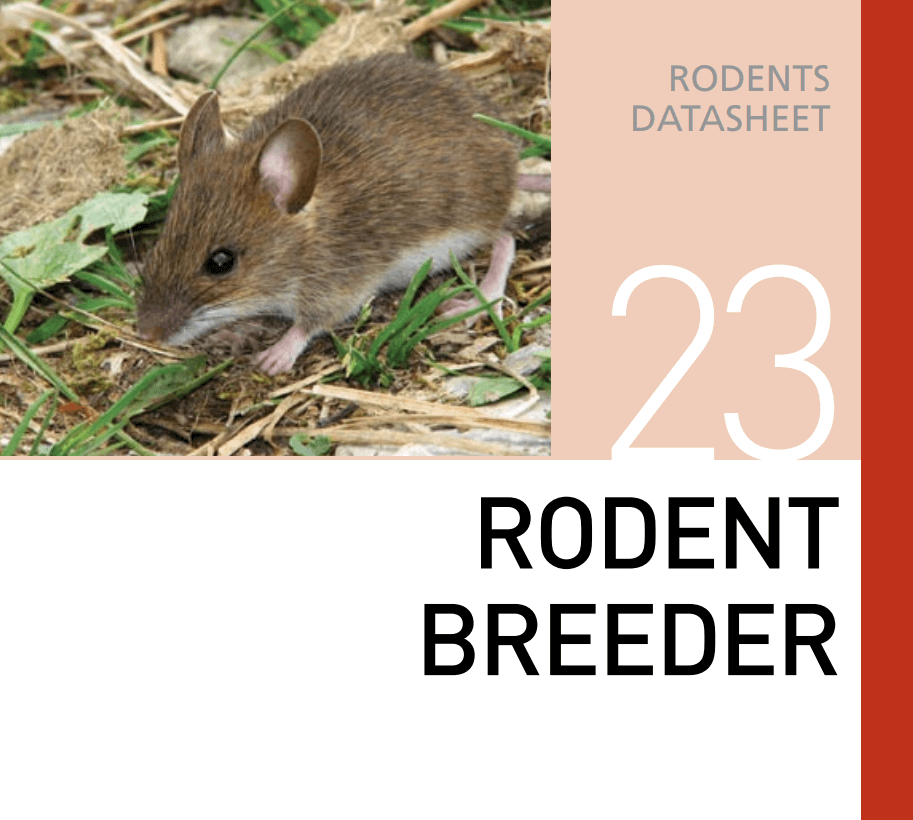 Корм для разведения грызунов Rodent Breeder