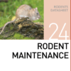 Корм для содержания грызунов Rodent Maintenance Mazuri Zoo Foods