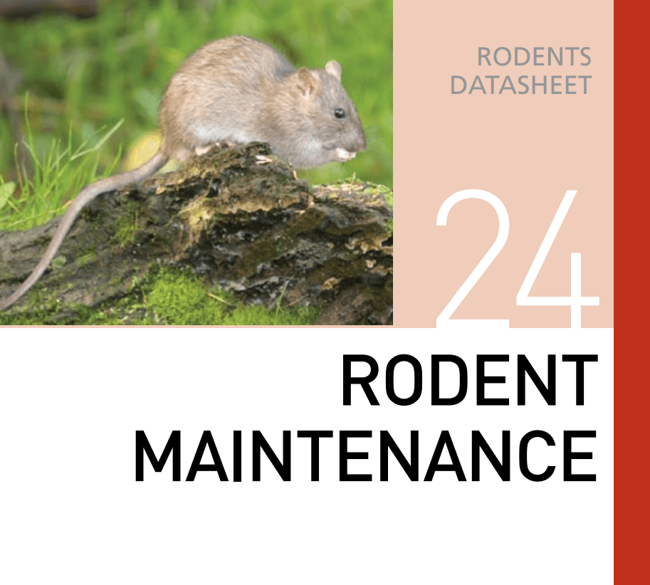 Корм для содержания грызунов Rodent Maintenance