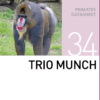 Корм для всех видов приматов Trio Munch Mazuri Zoo Foods