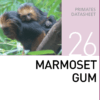 Корм для мартышек и тамаринов Marmoset Gum Mazuri Zoo Foods