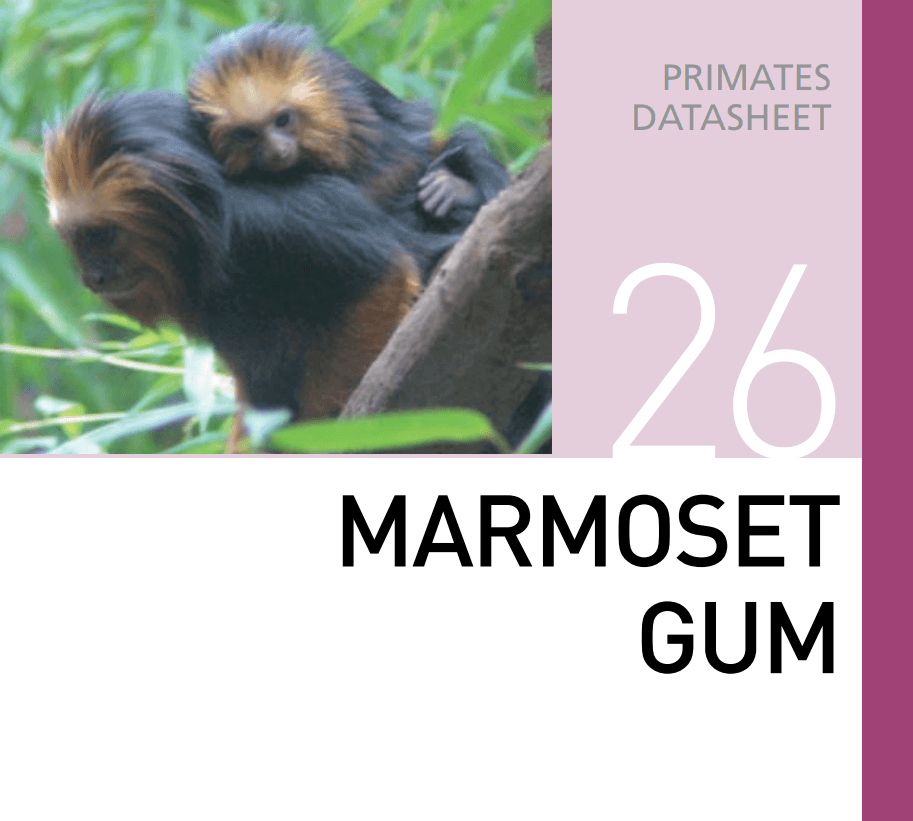 Корм для мартышек и тамаринов Marmoset Gum