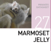 Корм для мартышек и тамаринов  Marmoset Jelly Mazuri Zoo Foods