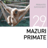 Корм для всех видов приматов  Mazuri Primate Mazuri Zoo Foods