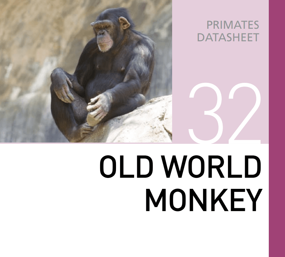 Корм для приматов старого света Old World Monkey