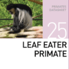 Корм для листоядных приматов Leaf Eater Primate Mazuri Zoo Foods