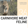 Корм для хищников Carnivore Meat Feline Mazuri Zoo Foods