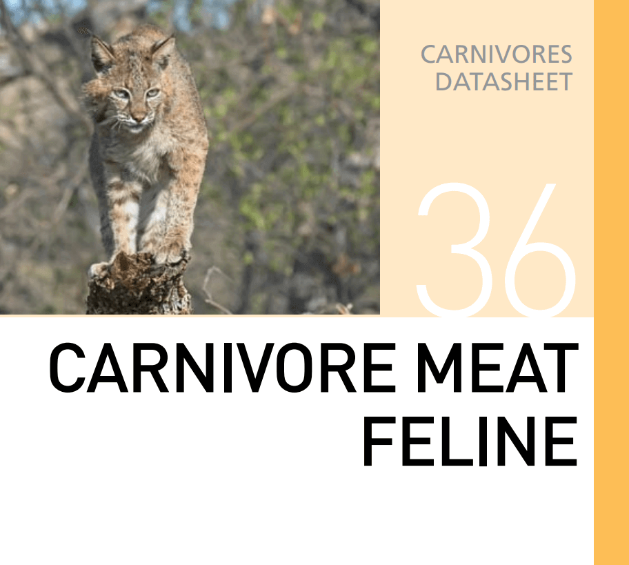 Корм для хищников Carnivore Meat Feline