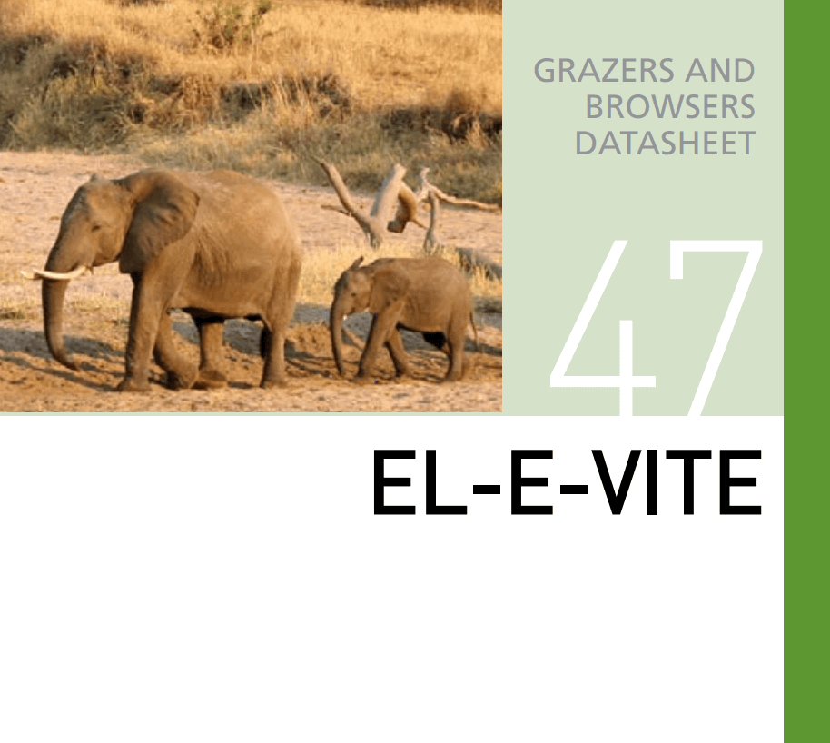 Корм для слонов El-E-Vite