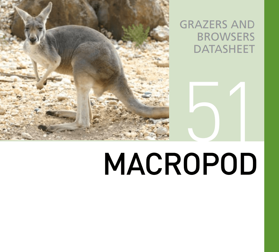 Корм для кенгуру Macropod