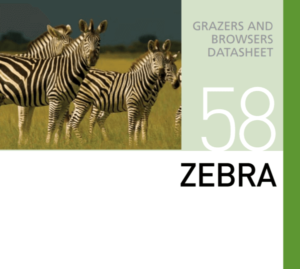 Корм для зебры Zebra Mazuri Zoo Foods