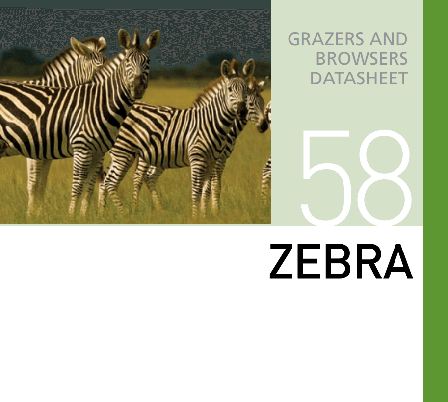 Корм для зебры Zebra