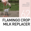 Молочная смесь для фламинго Flamingo Crop Milk Replacer Mazuri Zoo Foods