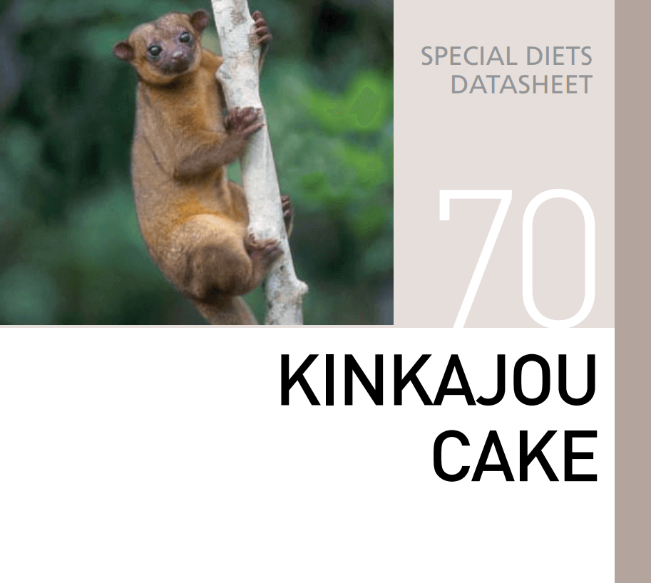 Корм для кинкажу Kinkajou Cake