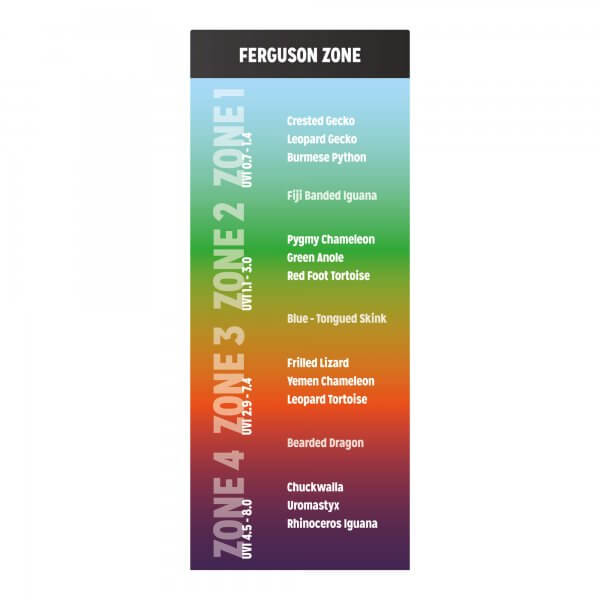 Ferguson Zone