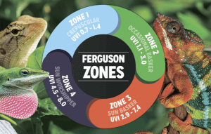 Zone Ferguson