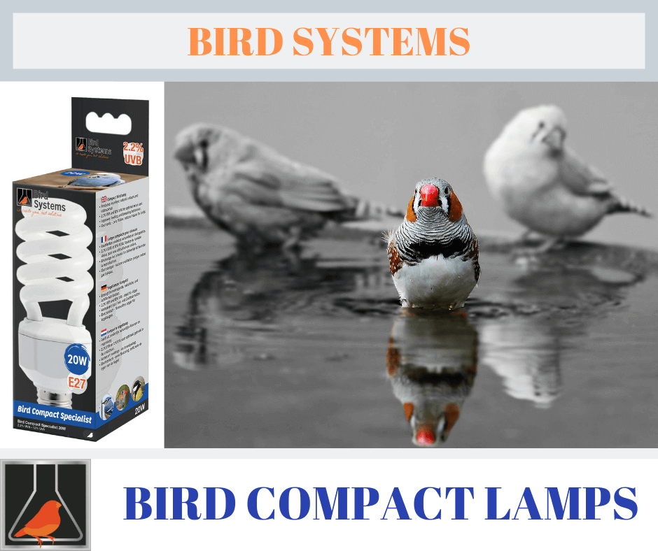 Bird Systems Compact Specialist Lampe 2,2% UVB pour Oiseau/Animal Sauvage 20 W 