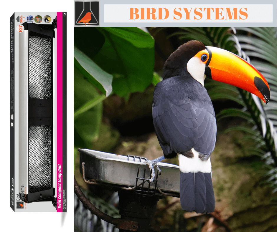 Bird Systems Compact Lamp Twin Unit купить