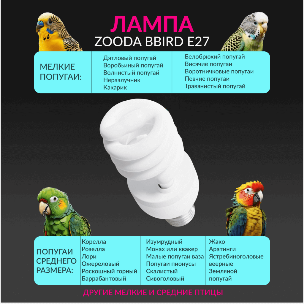 Лампы ZOODA