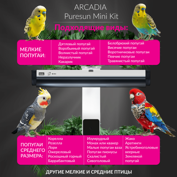 arcadia-puresun-mini-kit-t5-8w-cena