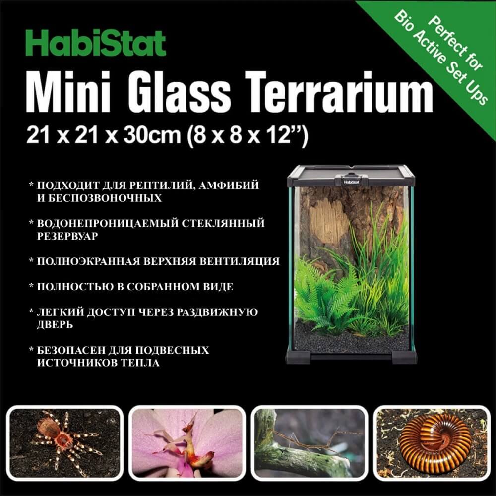 террариум Habistat Mini Glass Terrarium