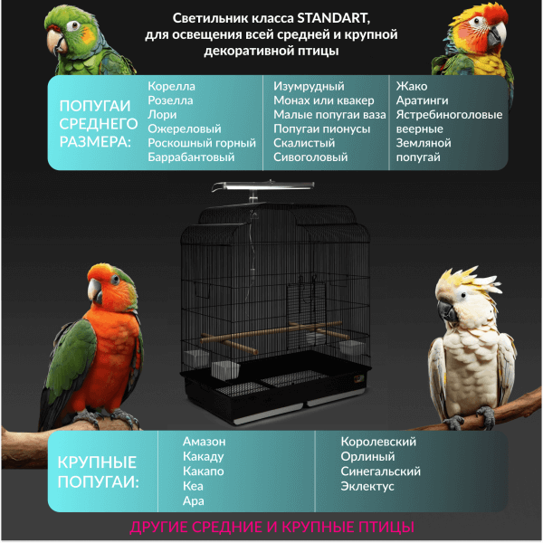 zooda-silver-edition-t5-dlya-kakih-ptic