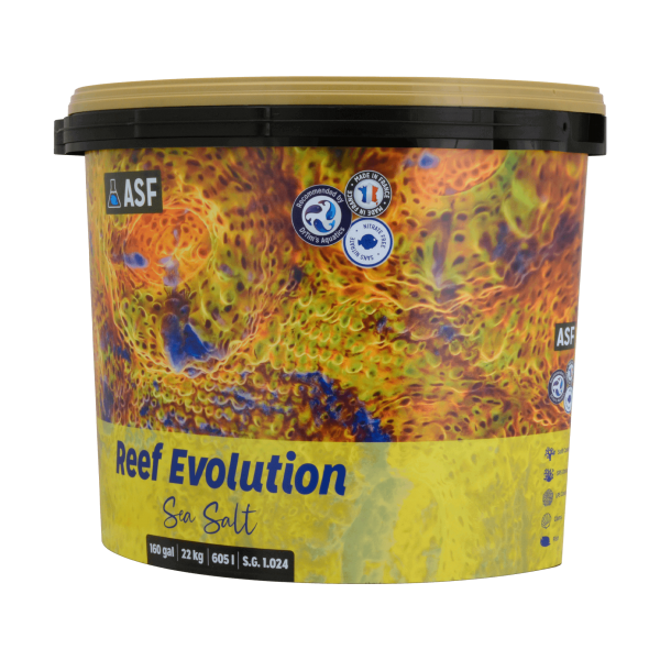 Reef Evolution